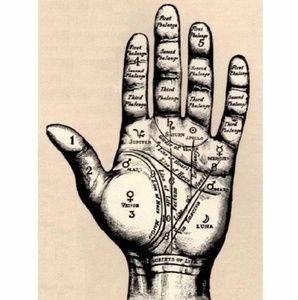 Meet your Posher, Angela